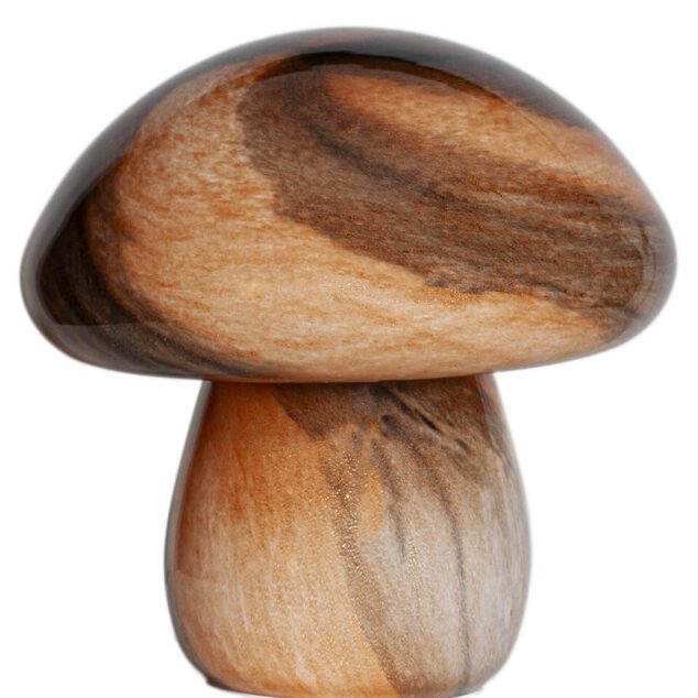 Mira Mushroom 2